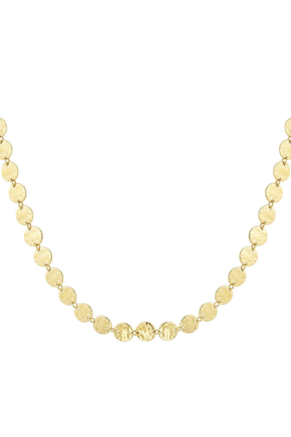 Coins ketting