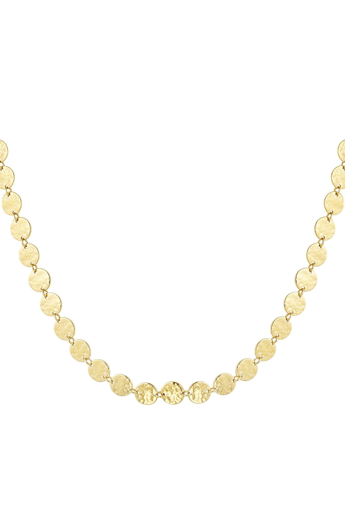 Coins ketting