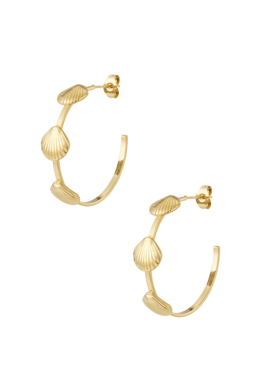 Shell hoops oorbellen