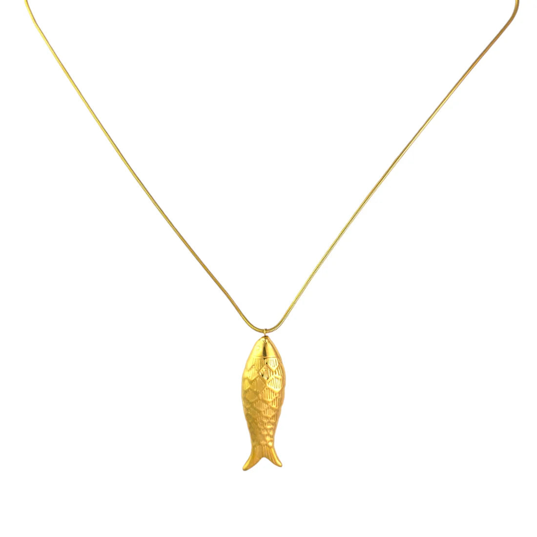 Vis lange ketting