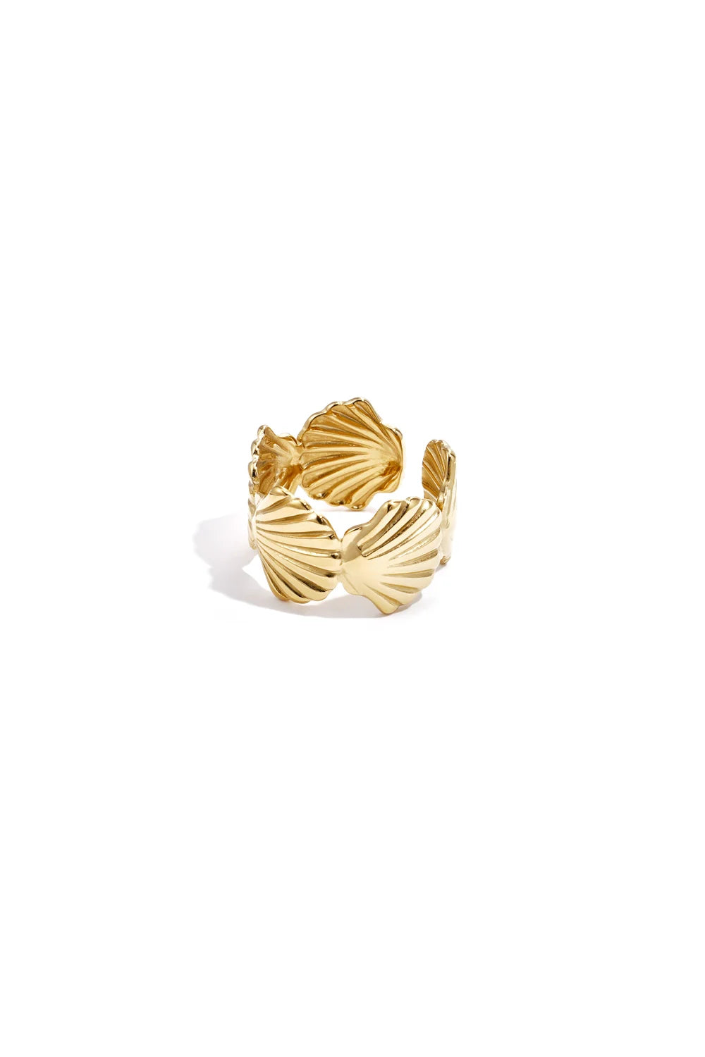 Shells ring
