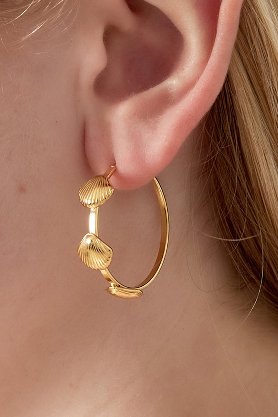 Shell hoops oorbellen